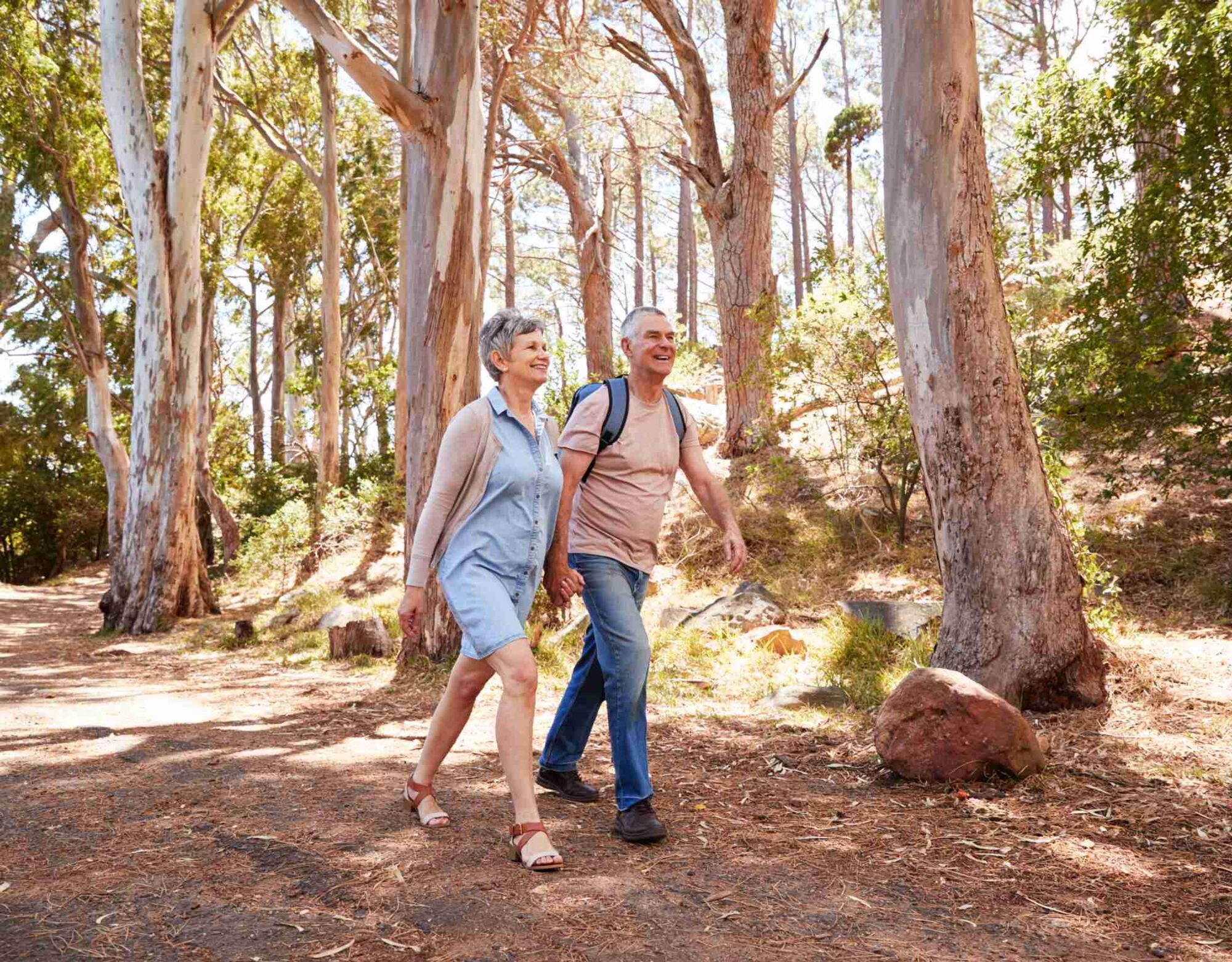 An older couple walk along a trail in the forest.