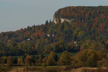 Large hill seen from a distance with green and red trees populating it. 