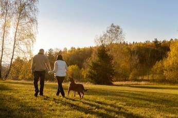 A man and woman walking their dog on green grass as the sun sets.