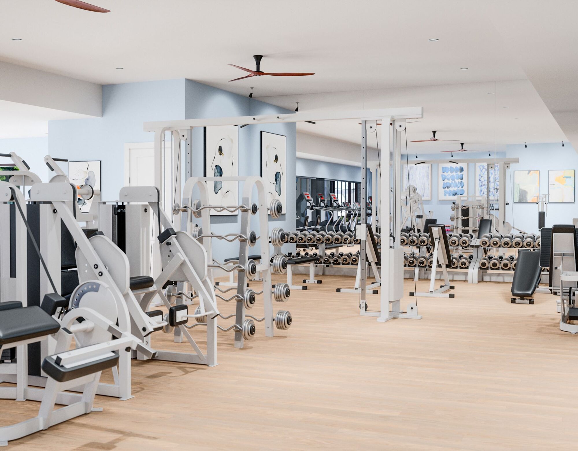 Telaro Amenity Fitness Center