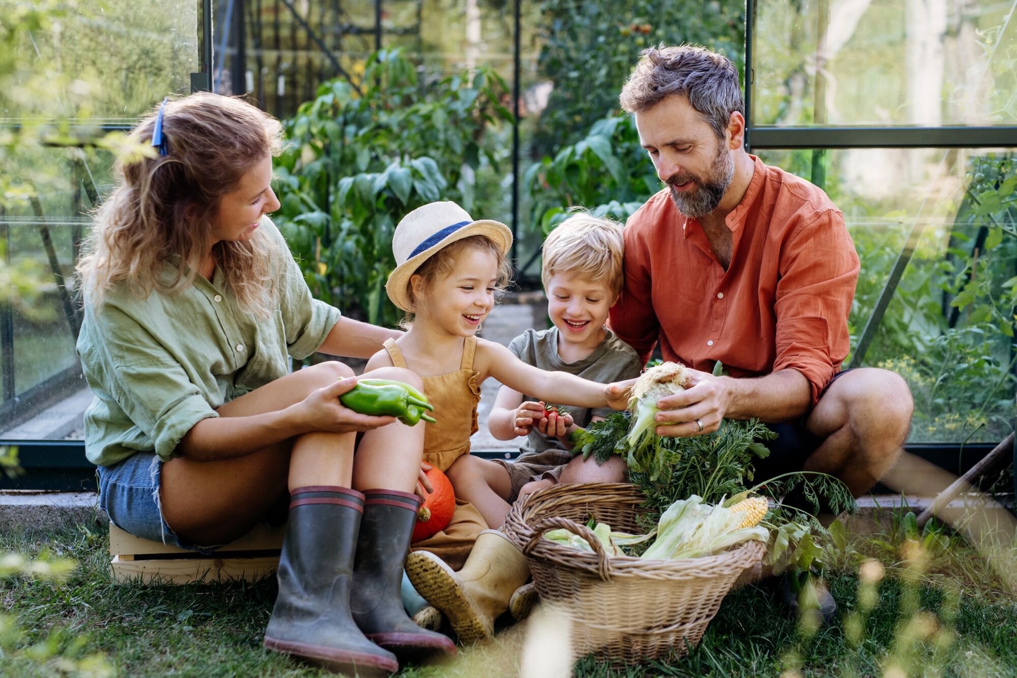 Family picking vegetables - Stock image
